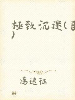 极致沉迷(臣年)封面