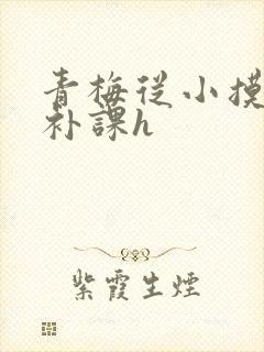 青梅从小摸到大补课h