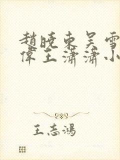 赵晓东吴雪晴郑伟王潇潇小说