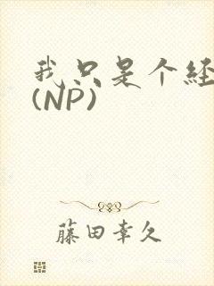 我只是个经纪人(NP)