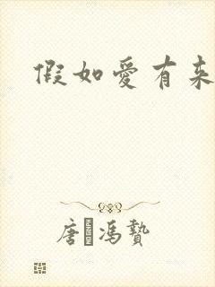 假如爱有来生封面