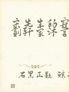 宋先生的宠妻计划轩家沐言