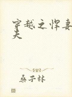 穿越之悍妻共三夫