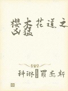 樱木花道之重生凶猛