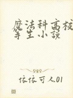 魔法科高校的劣等生小说