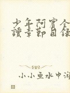 少年阿宾全文阅读章节目录