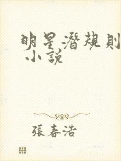 明星潜规则之皇 小说