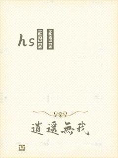 hsС˵封面