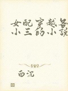 女配穿越各个做小三的小说