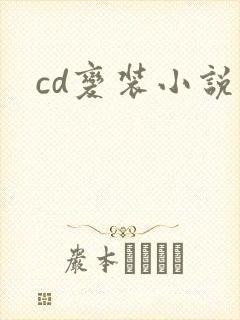 cd变装小说