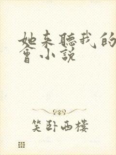 她来听我的演唱会小说