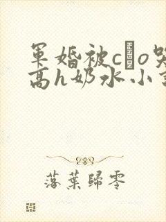 军婚被cαo哭高h奶水小说