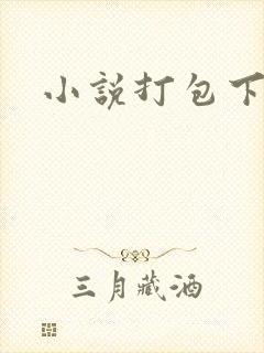 小说打包下载