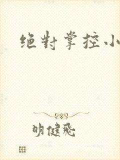 绝对掌控小说