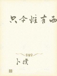 只今惟有西江月封面