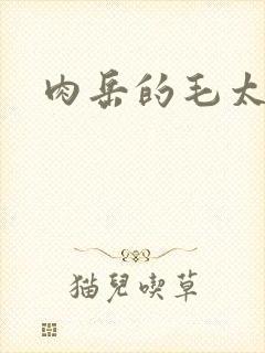 肉岳的毛太浓了