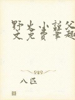 野火小说父女全文免费笔趣阁