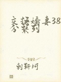 交换娇妻38部分系列