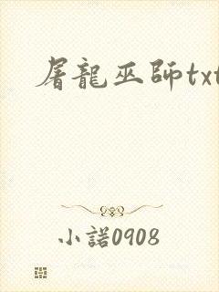 屠龙巫师txt