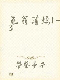 色翁荡熄1—13封面