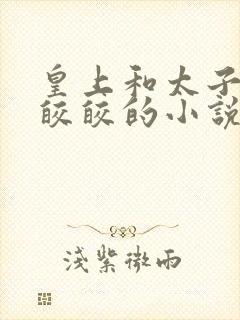 皇上和太子妃沈皎皎的小说免费封面