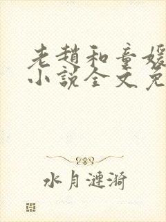 老赵和童媛媛的小说全文免费阅读