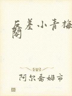 反差小青梅笔趣阁封面