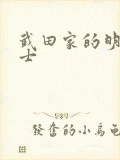 武田家的明国武士