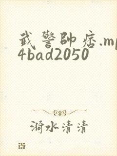 武警帅痞.mp4bad2050