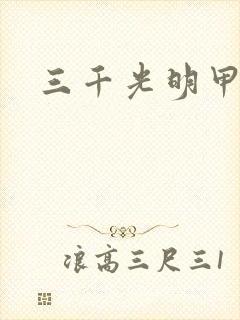三千光明甲封面
