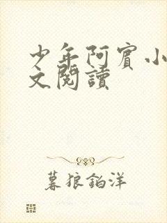 少年阿宾小说全文阅读