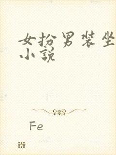 女扮男装坐江山小说