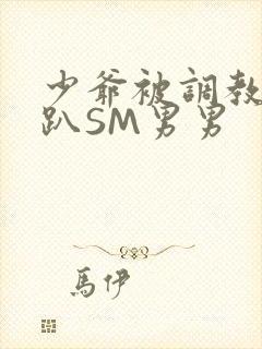 少爷被调教室跪趴SM男男