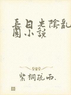 长日光阴乱作一团小说封面