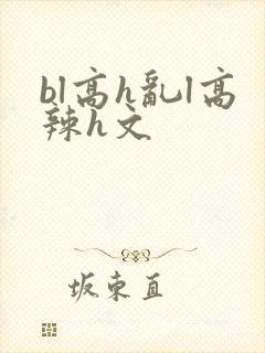 bl高h乱l高辣h文封面