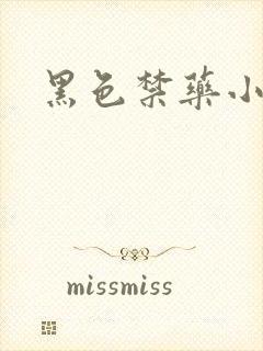 黑色禁药小说