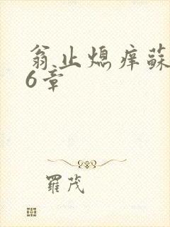 翁止熄痒苏玥第6章封面