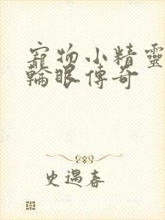 宠物小精灵之写轮眼传奇封面