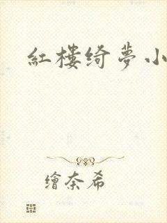 红楼绮梦小说封面