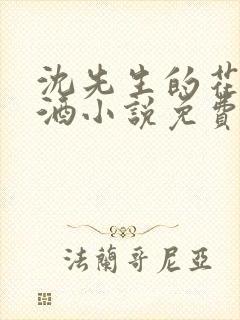 沈先生的花式调酒小说免费阅读