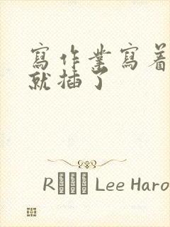 写作业写着写着就插了