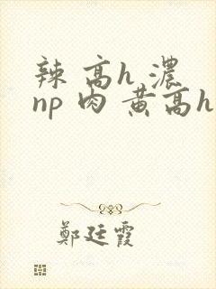 辣 高h 浓 np 肉 黄高h封面