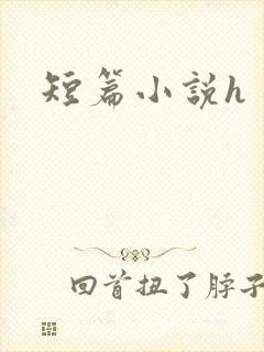 短篇小说h