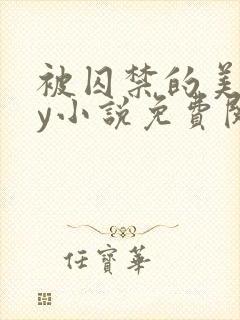 被囚禁的美人by小说免费阅读