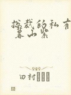 总裁的私有宝贝 暮山紫