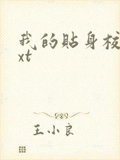 我的贴身校花txt封面