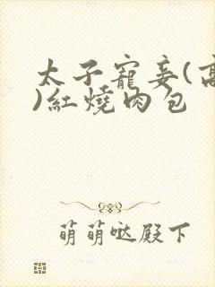 太子宠妾(高肉)红烧肉包