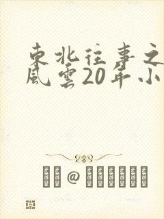 东北往事之黑道风云20年小说