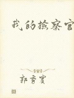 我的检察官先生