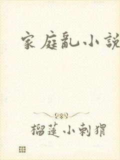 家庭乱小说